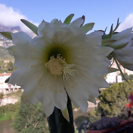 Апартаменты Piso Con Desayuno Incluido Y Vistas A La Montana. Monistrol de Montserrat Экстерьер фото